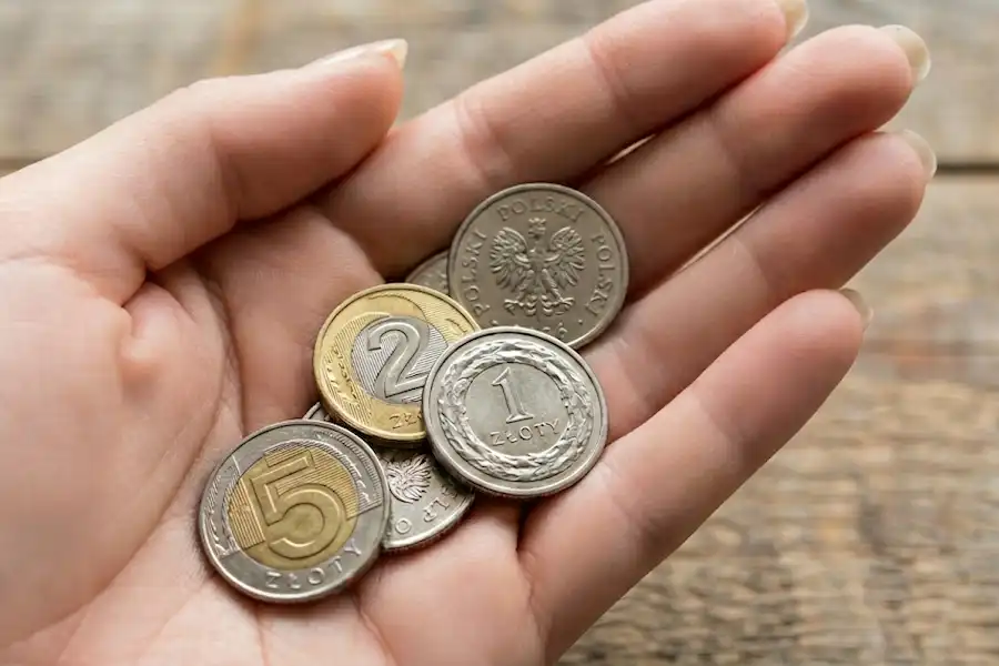 budget-voyage-cracovie-zloty Main tenant des pièces de monnaie polonaise (Złoty), pour illustrer la gestion du budget et les paiements lors d'un voyage à cracovie